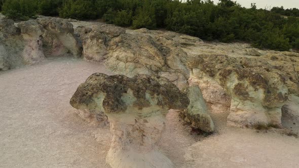 The Natural Phenomenon Stone Mushrooms 