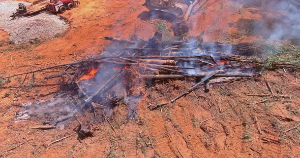 Burning the Uprooted Forest for the Construction of New Houses