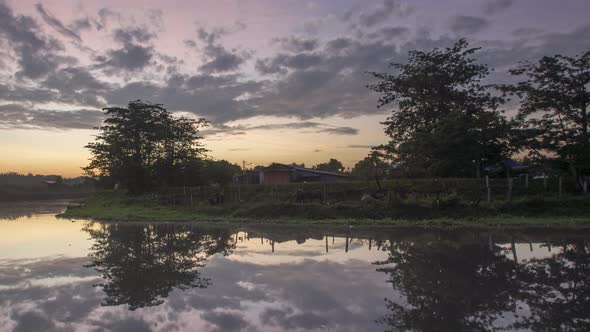 Timelapse sunrise at a buffalo yard beside river 