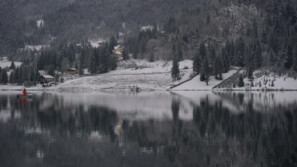 Trees on a lake shore