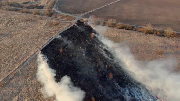 Aerial Top View of a Grass Fire