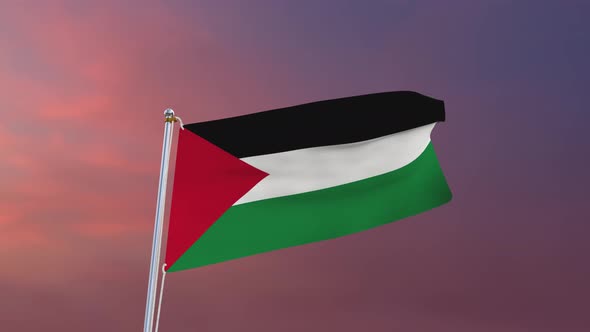 Flag Of Palestine Waving 4k