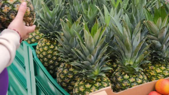 Closeup of Woman Pregnant Buying Pineapple