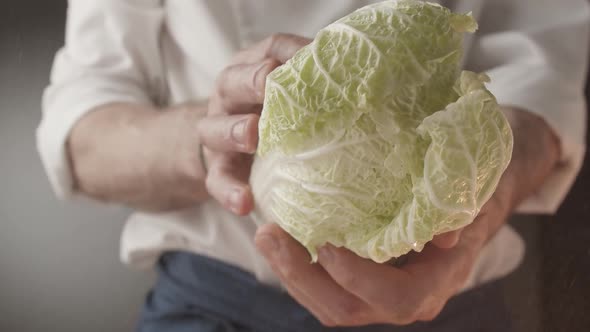 Chinese Cabbage in the Hands of the Cook He Opens It and Looks Carefully