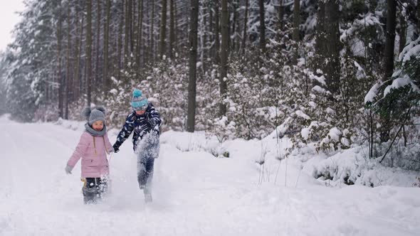 Video of siblings pulling a sled in the winter forest. Shot with RED helium camera in 8K.
