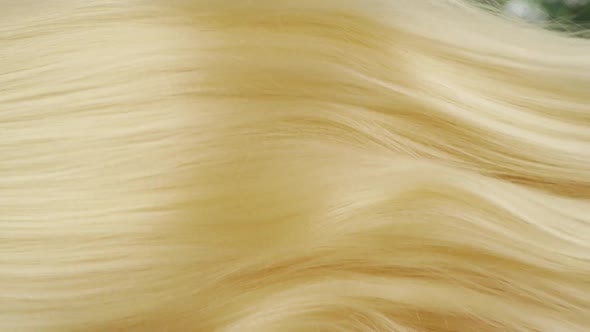 Slow motion close-up woman's healthy blond long smooth straight hair texture, hair extension