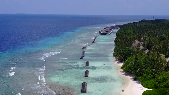 Aerial view sky of coast beach wildlife by blue ocean and sand background