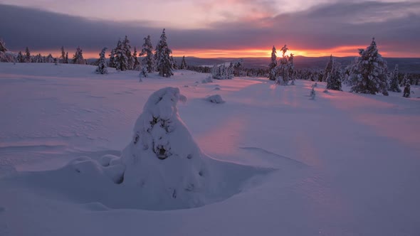 A beautiful purple sunset sky over the snow white landscape of Lapland, Finland - wide shot