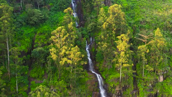 Aerial View of Waterfall Among Tropical Jungle with Green Plants and Trees