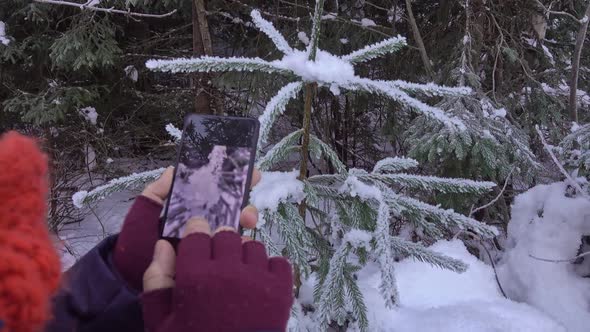 Female Hands Holding Smartphone And Doing Nature Photography.