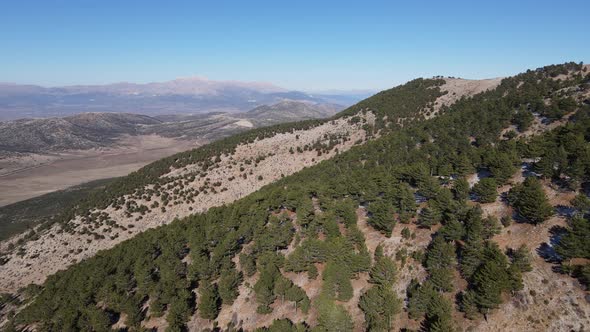 Mountain Slope with Greenery