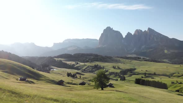 Drone Circle Around Tree at Alpe di Suisi Alpine Meadow in Dolomites Mountains Italy