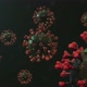 Corona virus - VideoHive Item for Sale