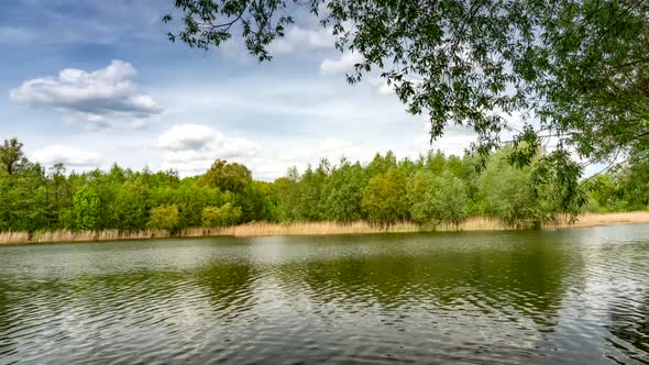 Calm lake in green city park.