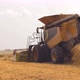 Wheat Harvesting on Field in Summer Season - VideoHive Item for Sale