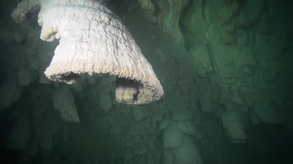 A wall of unique bell speleothems