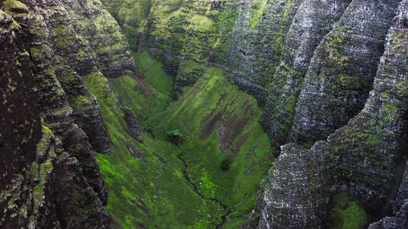 Cliffs Aerial Inside Deep Green Volcanic Canyon with Black Rocky Steep Walls