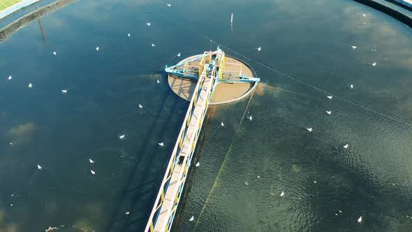 Top View of a Large Circular Sedimentation Tank with Seagulls Floating in It