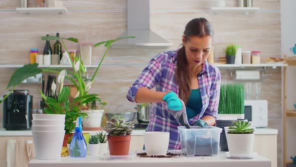 Woman Replanting Flowers in the Kitchen