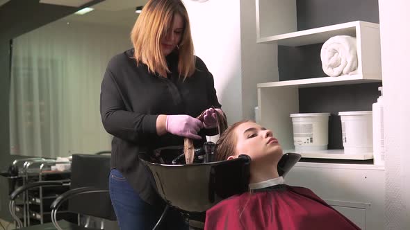 The Hairdresser Slowly Applies a Moisturizing Mask to the Wet Hair of a Woman