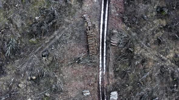 White road in destroyed forest after a hurricane, aerial view