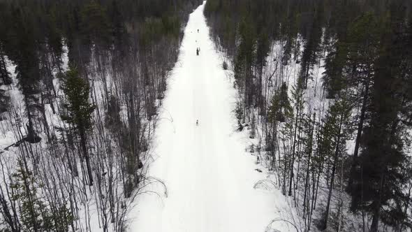 Drone Aerial View of Dogsledding Handler with Team of Trained Husky Dogs Mountain Pass Husky Dog