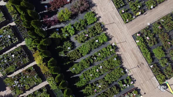 aerial view of garden shop. working people. potted plants