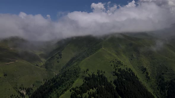 Alpine Meadows