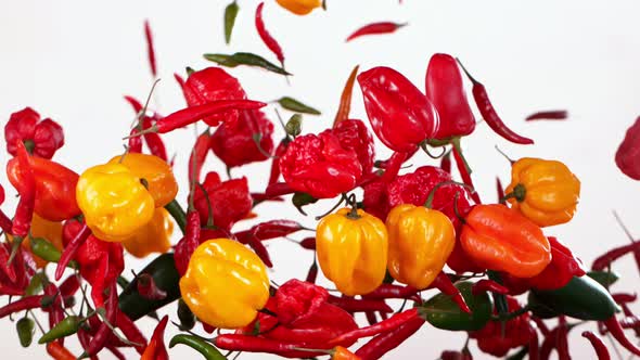 Super Slow Motion Shot of Flying Mixed Chilli Peppers Isolated on White Background at 1000Fps