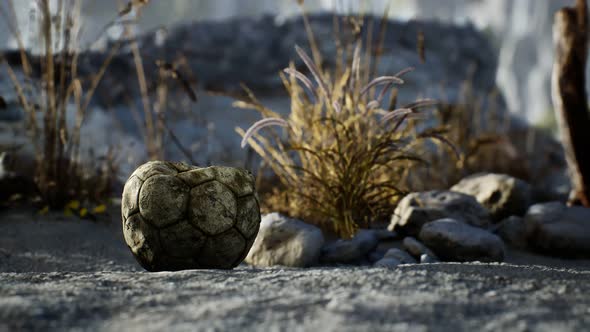 An Old Torn Soccer Ball Thrown Lies on Sand of Sea Beach