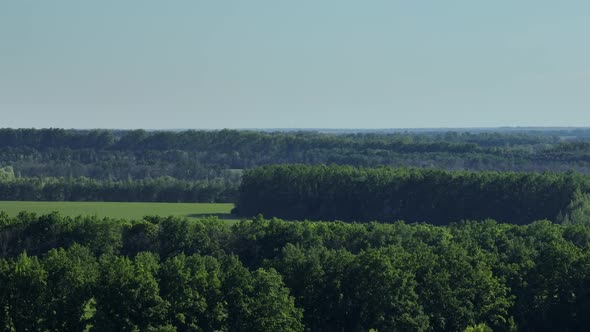 Aerial Video Drone Footage of a Forest and a Green Meadow in Sunny Weather