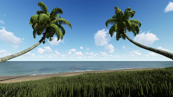 Palm Trees On The Beach alt