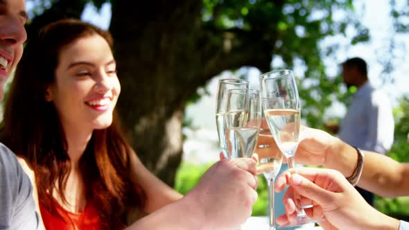 Group of friends toasting champagne glasses while having lunch