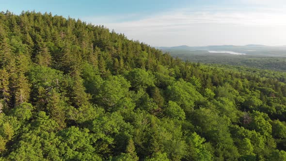 Aerial drone shot of a forest in Maine United States of America