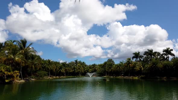 Time lapse of clouds rolling over a lake surrounded with palm threes, florida weather