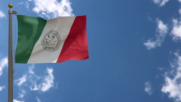 Solidaridad Flag (Mexico) On Flagpole