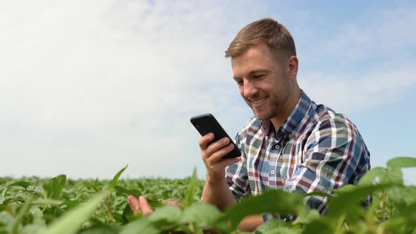 Farmer Taking Pictures of Soybean Plantation