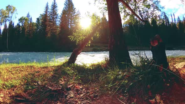 Meadow at Mountain River Bank. Landscape with Green Grass, Pine Trees and Sun Rays. Movement on