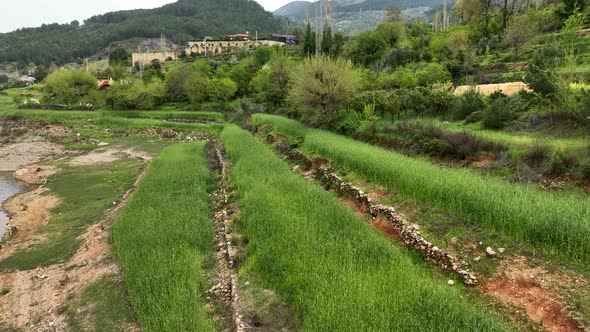 Farming on the banks of the river aerial view Alanya Turkey 4 K