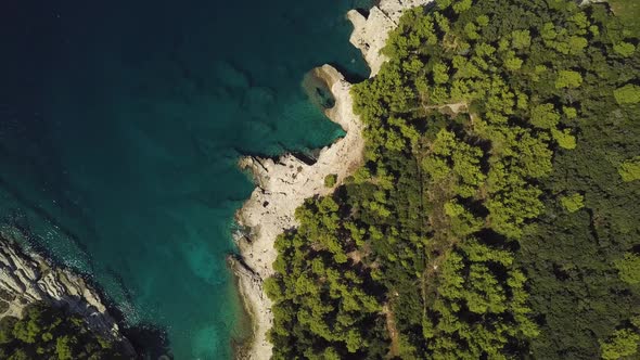 Rocky Mediterranean Coastline With Forest