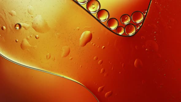 Abstract Colorful Food Oil Drops Bubbles 236