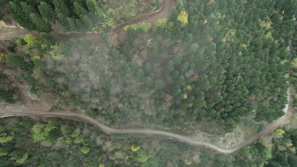 Aerial view country road in forest