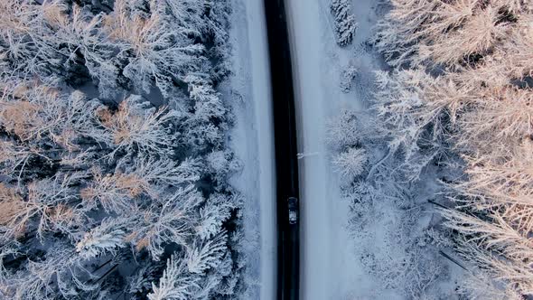 Aerial View of a Car Driving on a Road in a Snowcovered Coniferous Forest on a Sunny Frosty Day