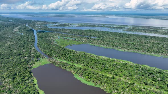 Amazon River at Amazon Forest. The famous tropical forest of world. Manaus Brazil. Amazonian ecosyst