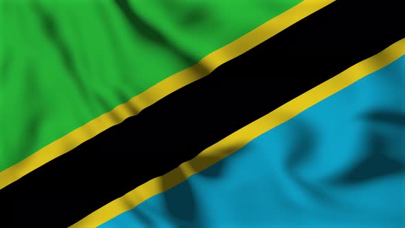 Tanzania Flag Animation Loop Background