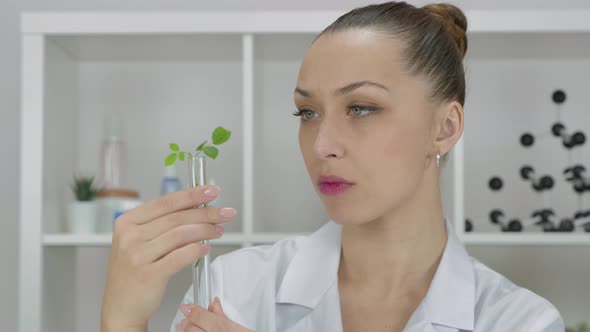 Modern Biotech Laboratory Female Scientist Checking in Test Tube GMO Plant