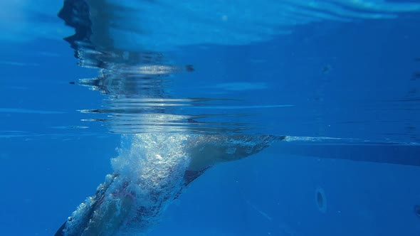 Woman is Plunging in Outdoor Swimming Pool and Swimming Under Water