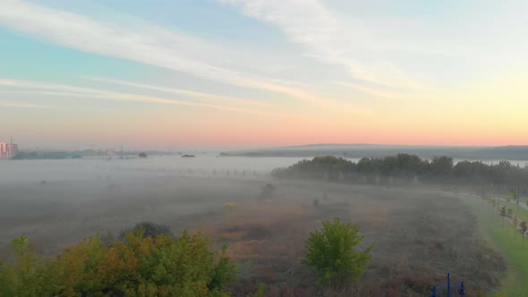 Nature In The Fog