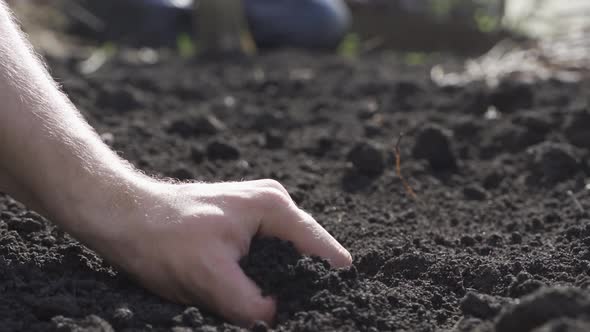 Farmer Take a Sample of the Black Fertile Soil. Farmer Handful of Fertile Soil Standing in