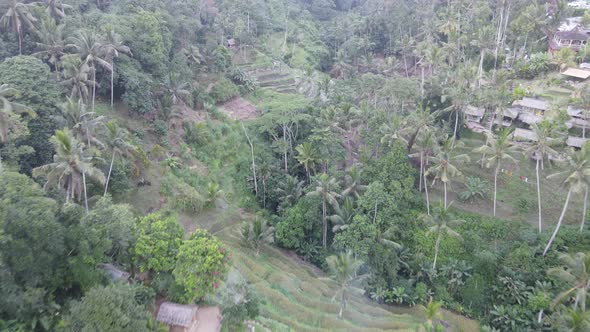 Aerial view of Tegalalang Bali rice terraces.